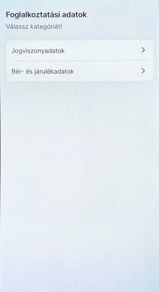 DÁP Foglalkoztatási adatok